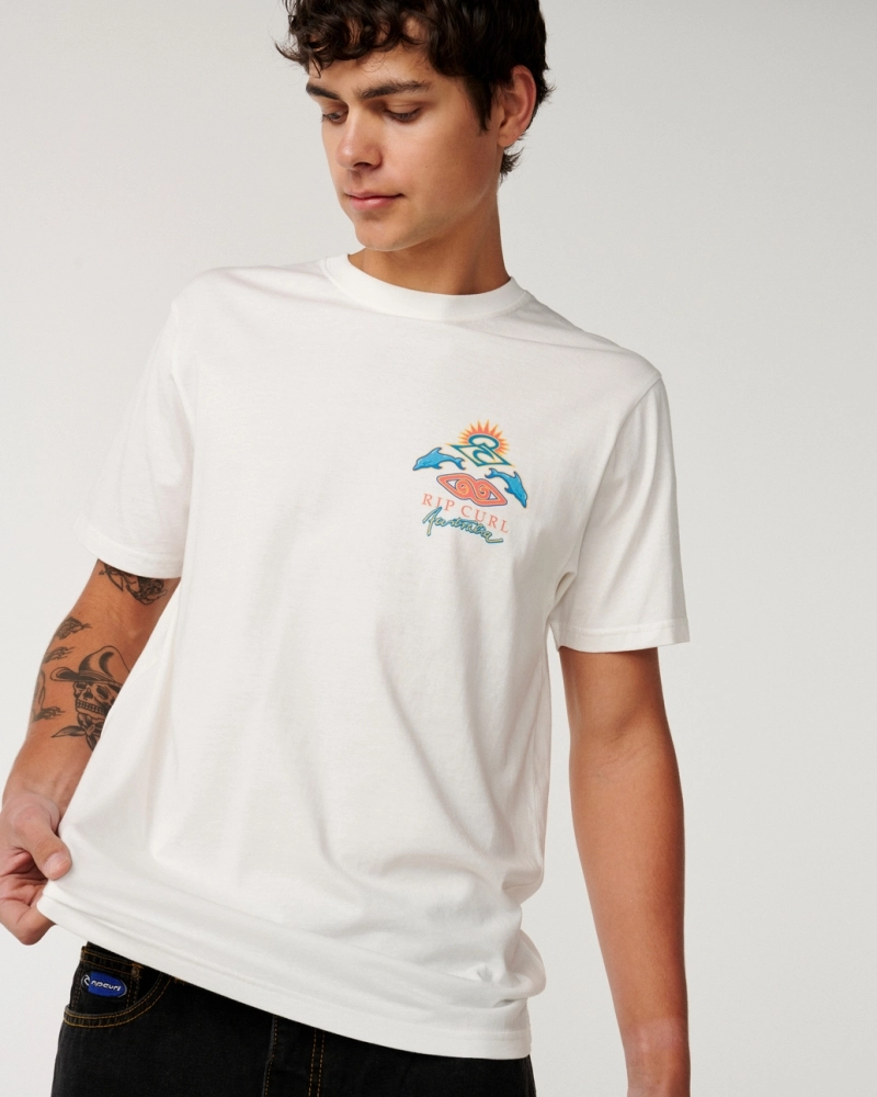 CAMISETA DOLPHIN DESTO 15BMTE3021B - CAMISETA DOLPHIN DESTO